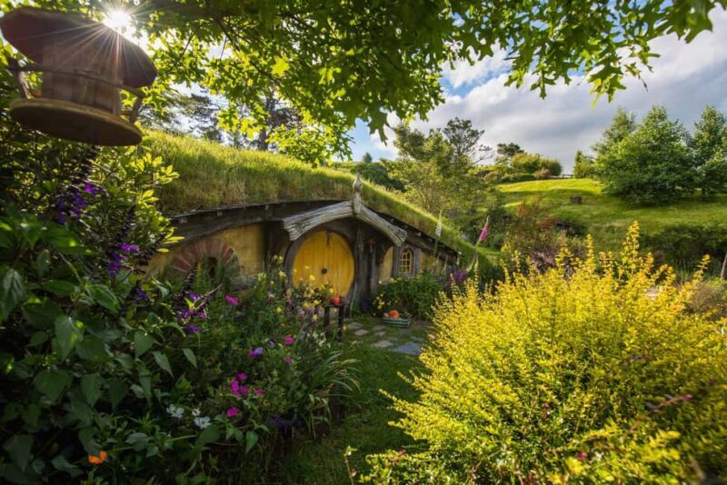 Auckland: Private Hobbiton Movie Set & Waitomo Caves Tour - Key Points