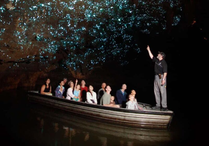 Auckland: Private Hobbiton Movie Set & Waitomo Caves Tour - An In-Depth Look at This Magical Day Tour