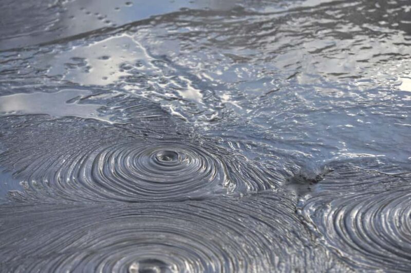 Auckland: Private Tour to Waitomo & Te Puia Valley - Exploring the Natural Wonders of Waitomo & Te Whakarewarewa