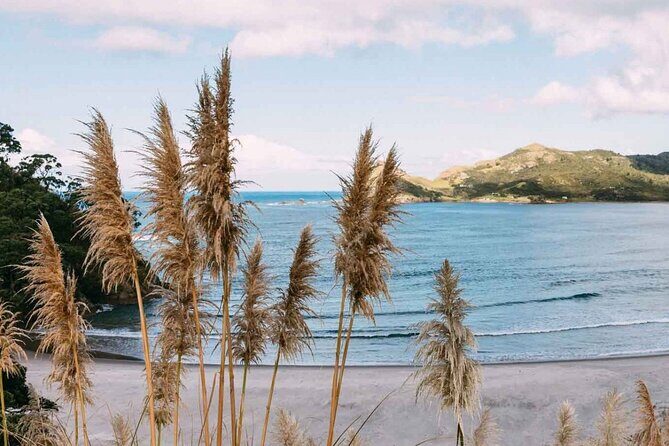 Auckland Region | Multi Island Hopper Package Tour - Who Will Love This Tour?