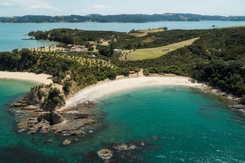Auckland: Rotoroa Island and Man O'War Vineyard Combo Tour - Auckland: Rotoroa Island and Man OWar Vineyard Combo Tour — A Deep Dive