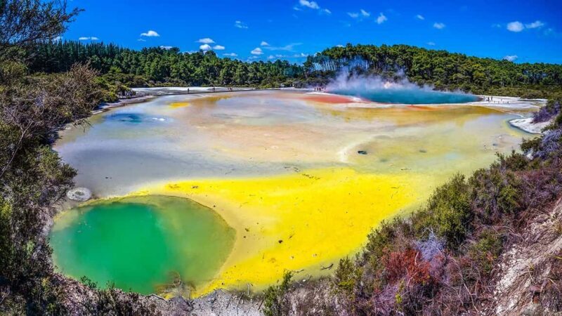 Auckland: Rotorua Highlights inc Wai-O-Tapu & Polynesian Spa - The Journey Begins: From Auckland to Rotorua