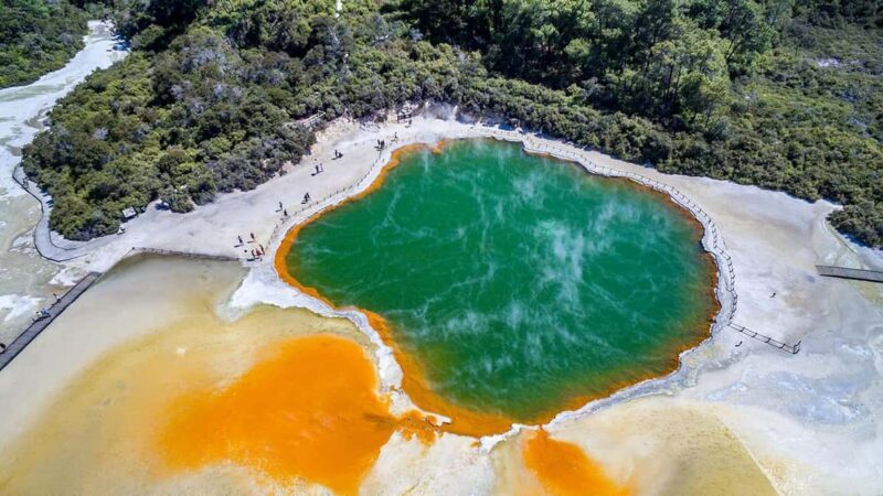 Auckland: Rotorua Highlights inc Wai-O-Tapu & Polynesian Spa - Return Trip with Hidden Stops
