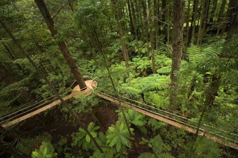 Auckland: Rotorua Highlights Tour with Wai-O-Tapu & Hot Tubs - What Travelers Say About This Tour