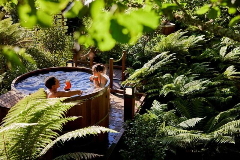 Auckland: Rotorua Highlights w Redwoods Treewalk & Hot Tubs - Detailed Breakdown of the Itinerary