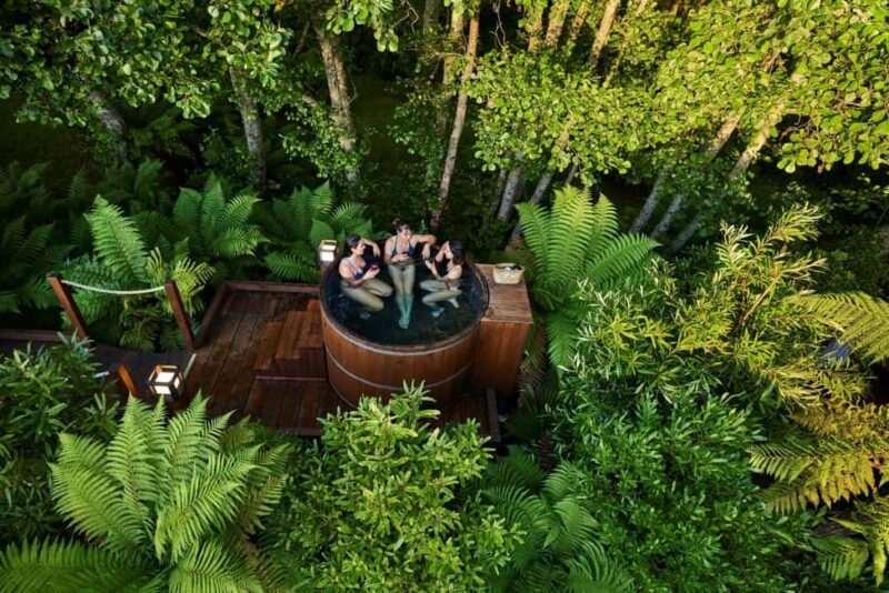 Auckland: Rotorua Highlights w Redwoods Treewalk & Hot Tubs - Authentic Experiences and Highlights