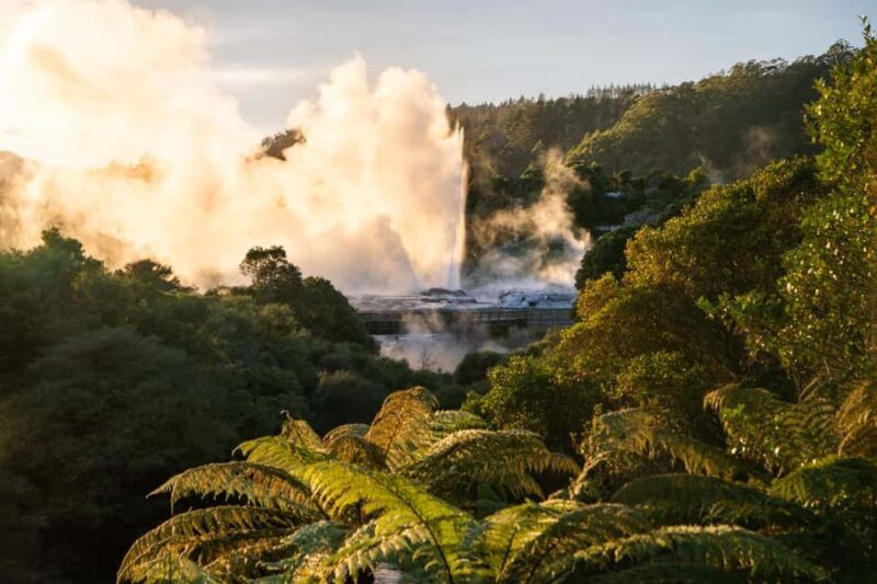 Auckland: Rotorua Highlights w TePuia & Secret Spot Hot Tubs - Key Points