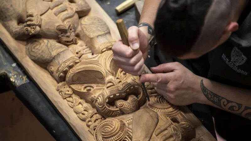 Auckland: Rotorua Highlights w TePuia & Secret Spot Hot Tubs - Who Will Benefit Most?