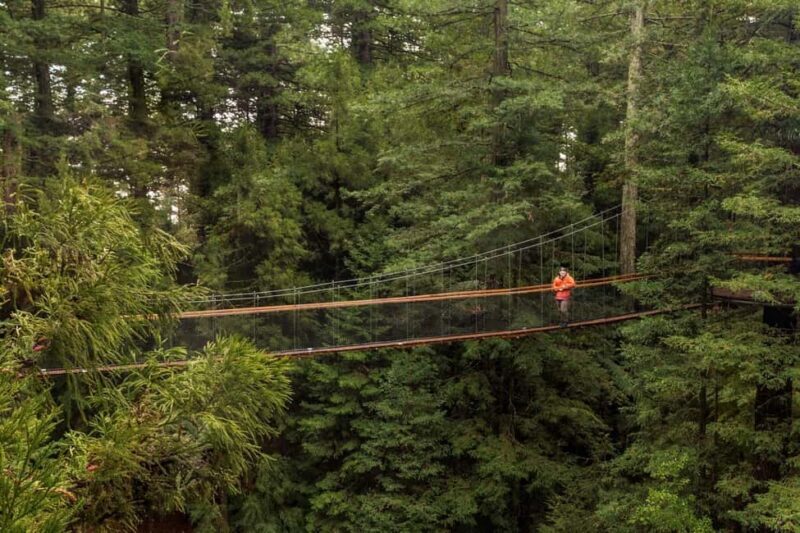Auckland: Rotorua Highlights w WaiOTapu & Redwoods Treewalk - FAQ