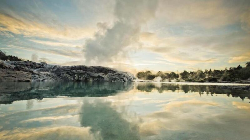 Auckland: Rotorua Highlights with Te Puia Tour, Show & Lunch - A Full-Day Adventure into Rotorua’s Heart and Heritage