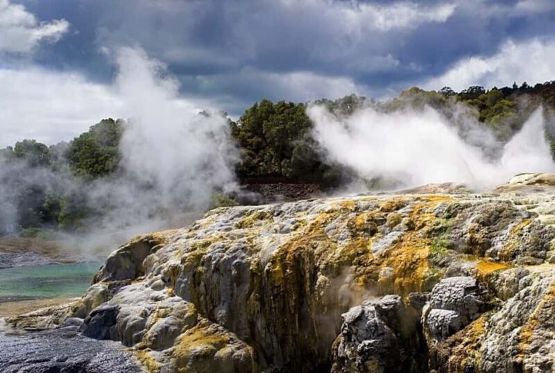 Auckland: Rotorua Living Maori Village Tour w/ Haka & Lunch - The Sum Up