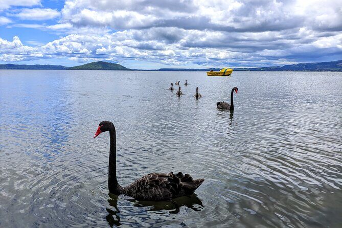 Auckland: Rotorua, Taupo, Waiotapu & Huka Falls Private Trip - Authentic Experiences from Other Travelers