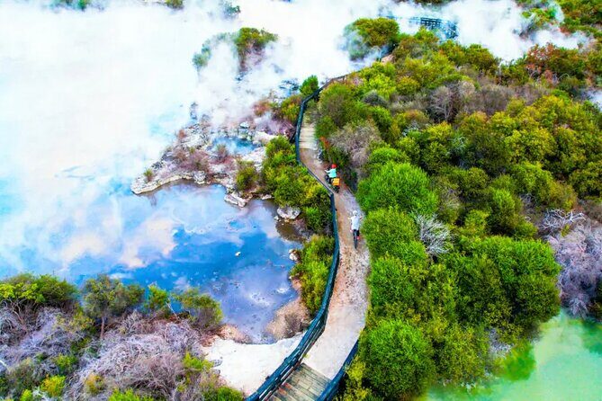 Auckland: Rotorua Te Puia & Maori Village Tour with Haka - Why This Tour Offers Great Value