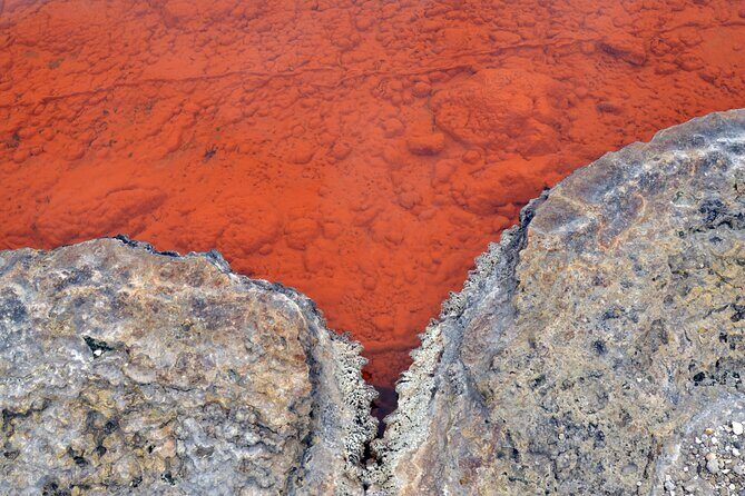 Auckland: Rotorua Tour with Waiotapu, Te Puia and Maori Haka - The Return Journey and Reflection