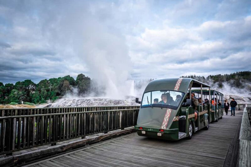 Auckland: Rotorua Wai-O-Tapu, Te Puia with Haka - Cultural Performance and Authentic Mori Experience