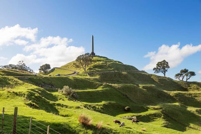 Auckland: Scenic City Discovery Half-Day Tour - What We Think About the Experience