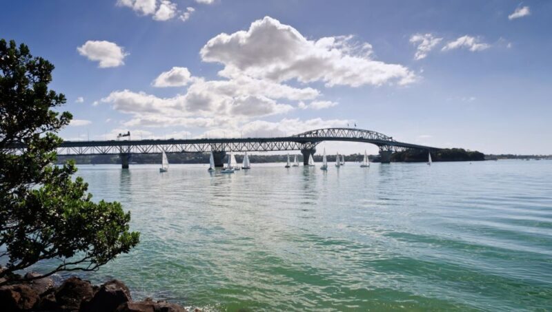 Auckland Scenic Half-Day City Sightseeing Tour - The Transport and Group Dynamics