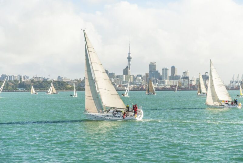 Auckland Scenic Half-Day City Sightseeing Tour - The Authenticity and Value