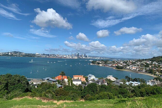 Auckland Sightseeing Half Day Tour - In-Depth Review of the Auckland Sightseeing Half Day Tour