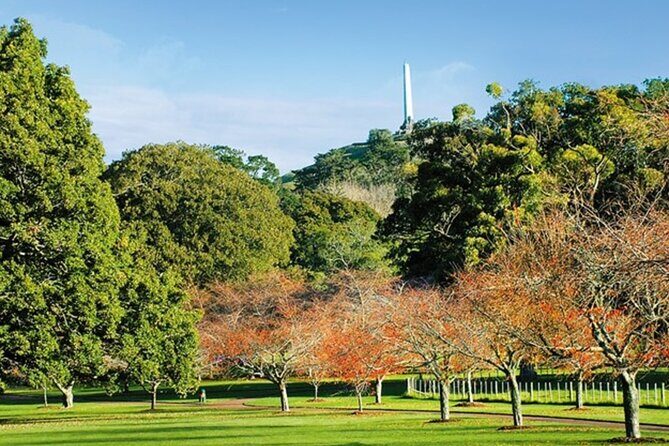 Auckland Sightseeing TourPrivate Full Day/Half Day Driver+Tesla - Who Would Love This Tour?