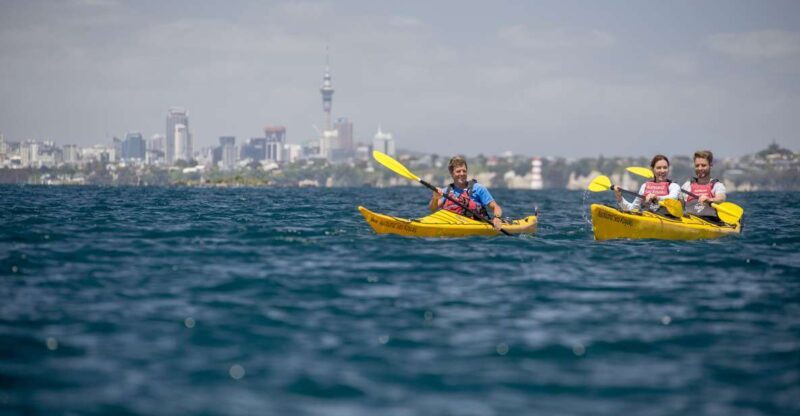 Auckland: Sunset & Night Sea Kayak Tour to Rangitoto Island - FAQs