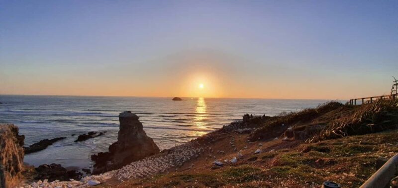 Auckland: Sunset Tour with Thermal pool & Wine Tasting - Who Should Consider This Tour?