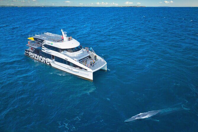 Auckland: Tikapa Moana Dolphin, Whale and Island Cruise - An In-Depth Look at the Tikapa Moana Cruise Experience