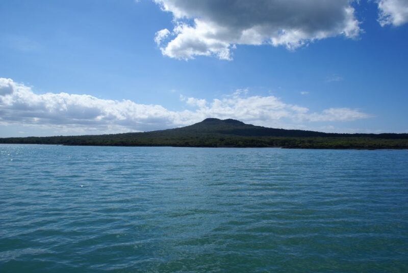 Auckland: Tikapa Moana Whales, Dolphins and Islands Cruise - A Detailed Look at the Experience