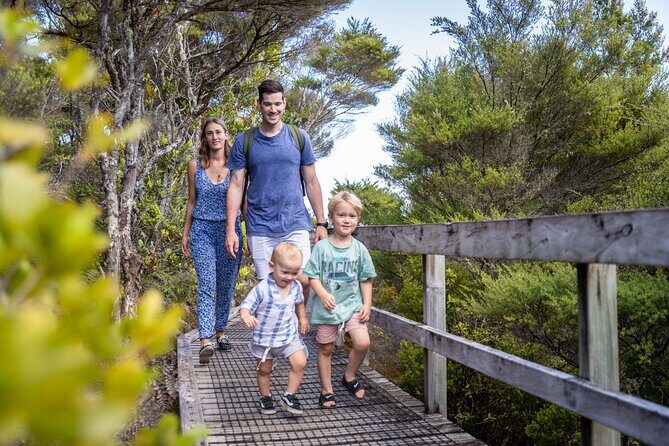 Auckland to Rangitoto Island Ferry - FAQ