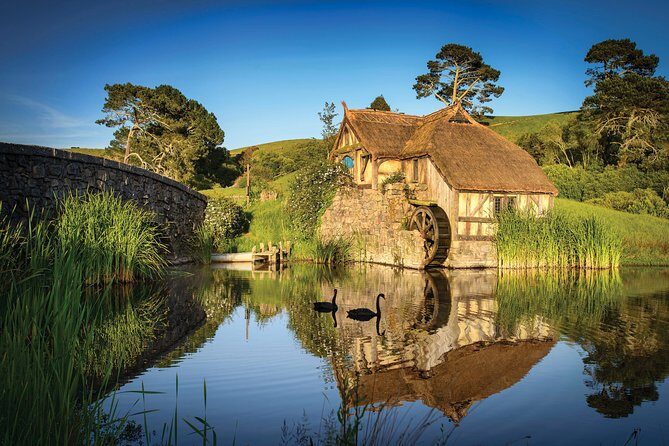 Auckland to Waitomo Caves and Hobbiton Movie Set Private Tour - An In-Depth Look at the Tour