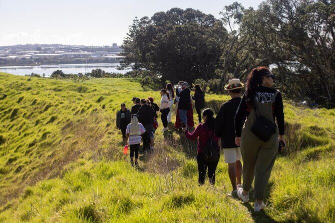 Auckland Urban Mori Experience - Small Group Tour In Auckland - Why This Tour Offers Great Value