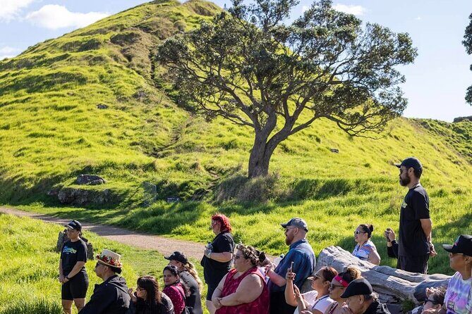 Auckland Urban Mori Experience - Small Group Tour In Auckland - Detailed Breakdown of the Itinerary