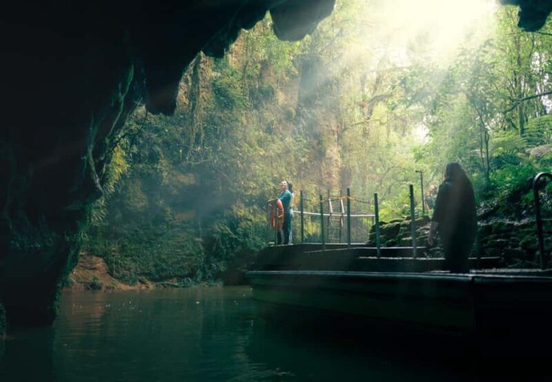 Auckland: Waitomo Caves & Rotorua - Te Puia Small-Group Tour - Auckland: Waitomo Caves & Rotorua - Te Puia Small-Group Tour
