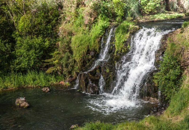 Auckland Waterfall Tour - Key Points