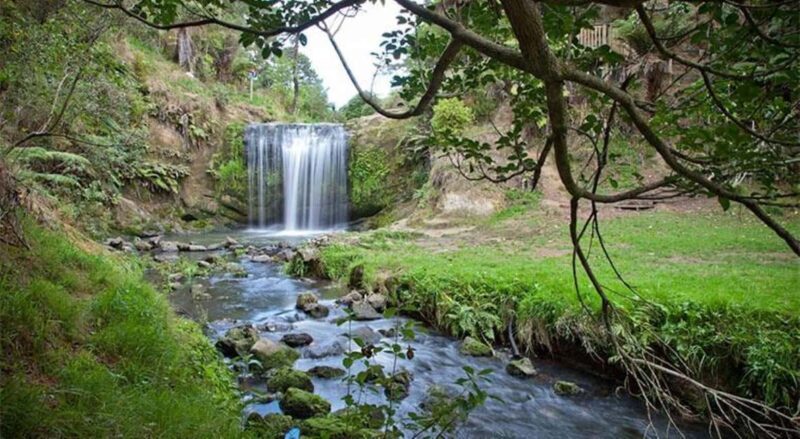 Auckland Waterfall Tour - FAQ