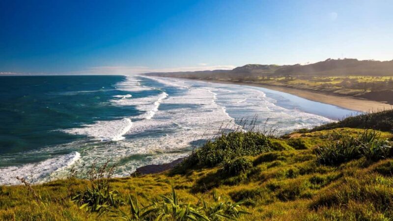 Auckland: West Coast Discovery - Exploring the West Coast: An Authentic and Scenic Experience