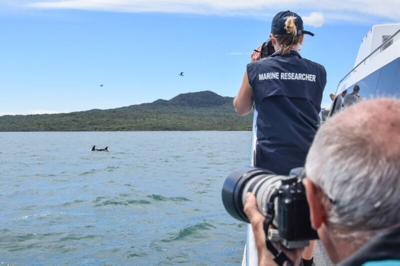 Auckland: Whale and Dolphin Watching Half-Day Eco Cruise - Final Thoughts