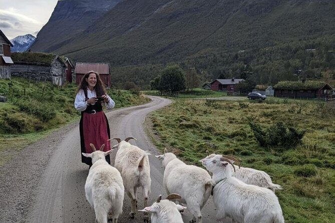 Audio-Guide Bus Tour at Scenic Routes of Åndalsnes to Trollstigen - The Sum Up