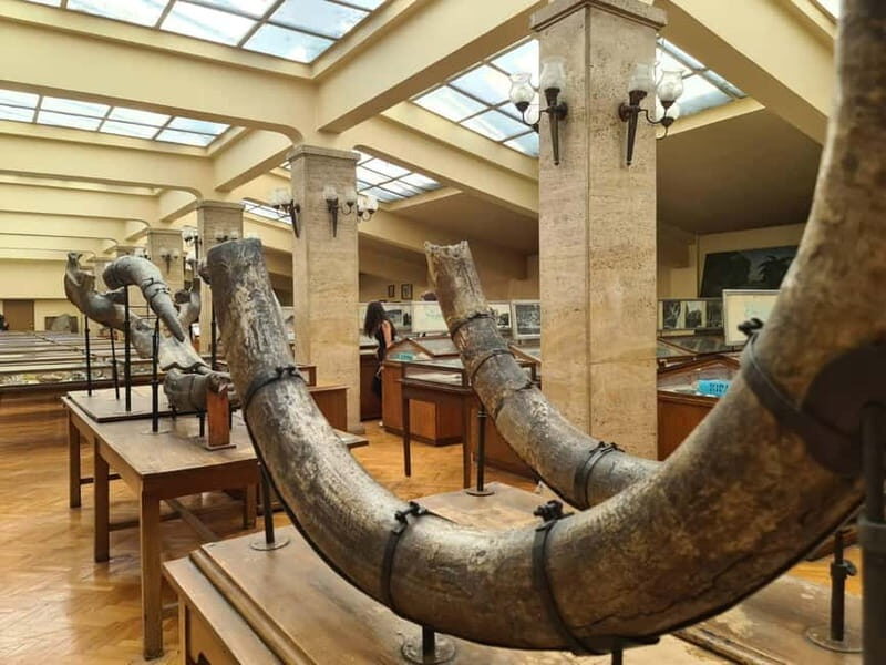 Audio Guide for Museum Paleontology and Historical Geology - Discover the Prehistoric World at Sofia’s Paleontology and Geology Museum