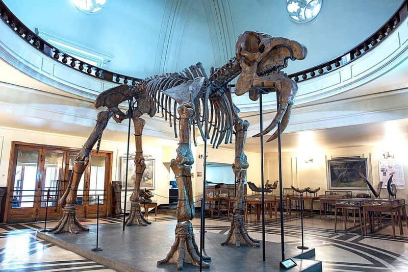 Audio Guide for Museum Paleontology and Historical Geology - Key Points