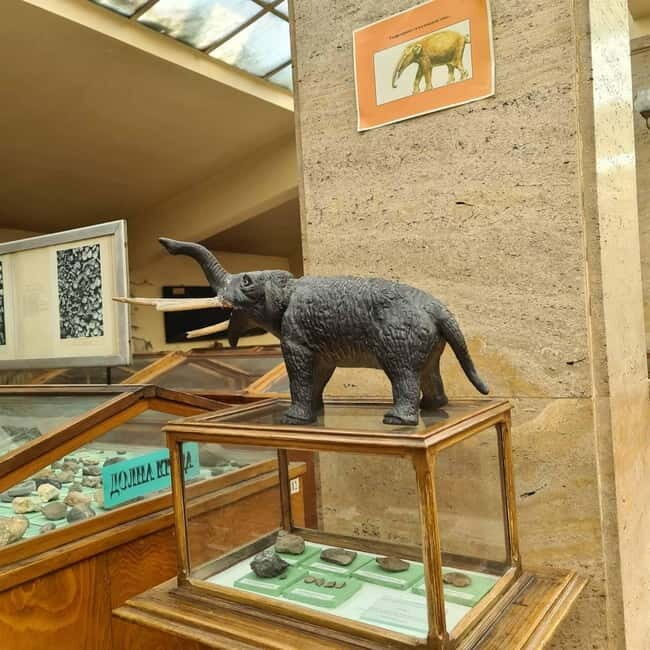 Audio Guide for Museum Paleontology and Historical Geology - What Travelers Say