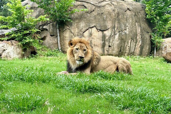 Audubon Zoo, Aquarium, and Insectarium Combo Ticket - Who Will Enjoy This Tour?