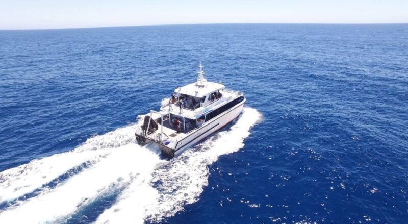 Augusta: Whale Watching Tour - Practical Tips for an Enjoyable Trip