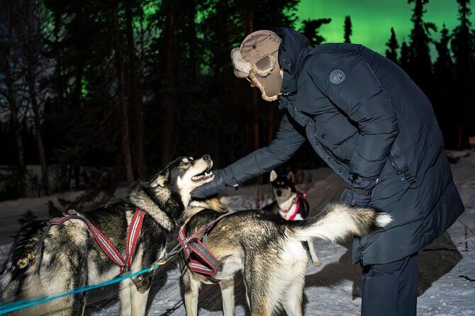 Aurora Activity at Sluice Box Sled Dogs - Key Points