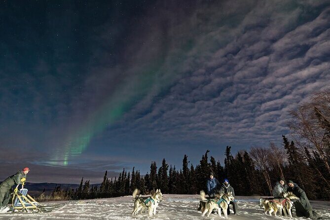 Aurora Activity at Sluice Box Sled Dogs - Comprehensive Review of the Aurora Activity at Sluice Box Sled Dogs
