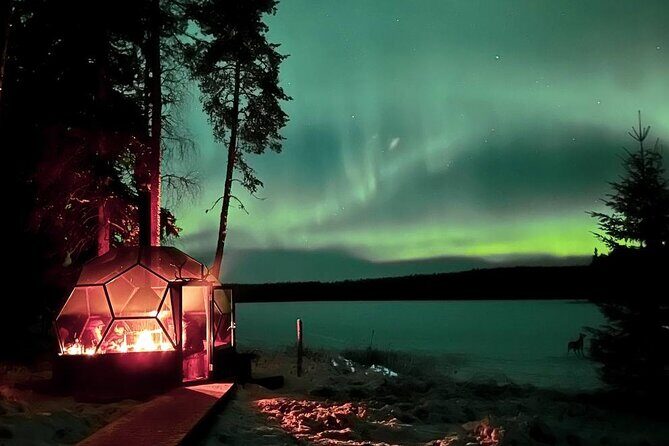 Aurora Borealis Dinner in a Glass Igloo - A Detailed Look at the Experience