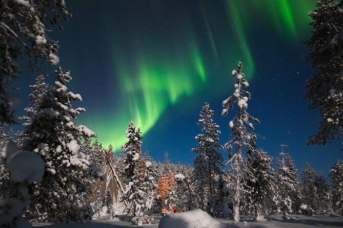 Aurora Borealis Picnic in Rovaniemi - Aurora Borealis Picnic in Rovaniemi: A Practical Guide to a Night of Nature’s Light Show