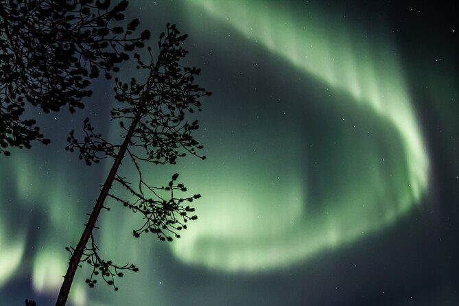 Aurora Borealis Picnic in Rovaniemi - The Value of This Tour