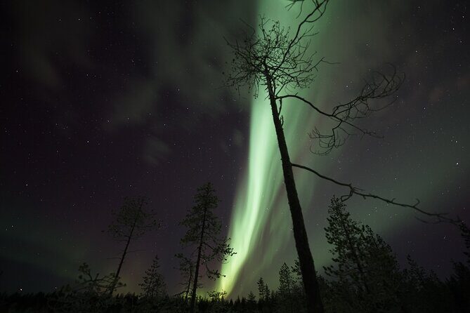 Aurora Borealis Picnic in Rovaniemi - FAQ
