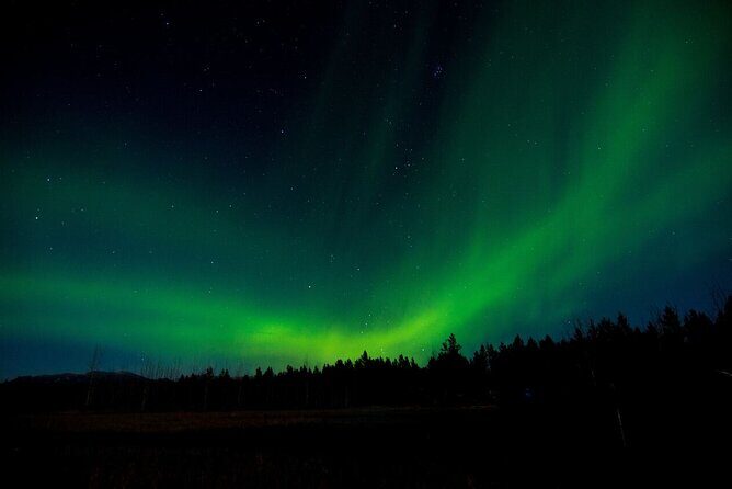 Aurora Borealis Quest: Private Yukon Nighttime Tour - Key Points